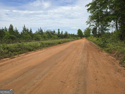/international/us/028-marvin-murphy-road-ellaville-ga-110101178619/?lang=zh-cn