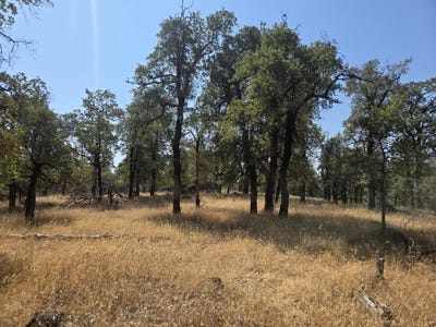 /international/us/mccandless-gulch-road-bella-vista-ca-110101120212/?lang=zh-tw