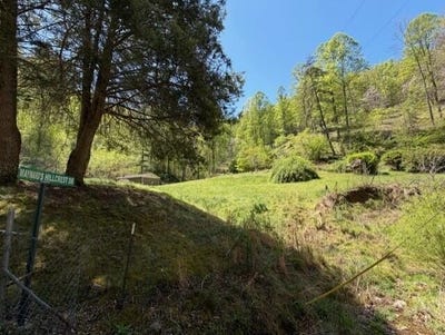 /international/us/1310-little-blacklog-road-inez-ky-110107612084/