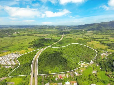 /international/us/bo-maizales-calle-borges-final-naguabo-pr-110105040460/