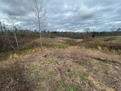 /international/us/3303-county-road-341-maplesville-al-110107585063/