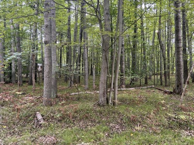 /international/us/8228-tanglewood-trail-stanwood-mi-110110309598/
