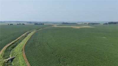/international/us/tbd-county-61-browerville-mn-110098479265/