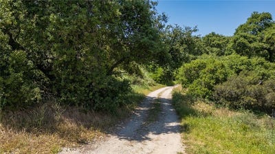 /international/us/0-danielle-lane-trabuco-canyon-ca-110097143642/?lang=zh-cn