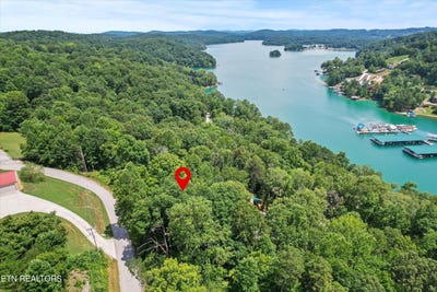 /international/us/lot-100-102-dogwood-trl-jim-lafollette-tn-110101094775/