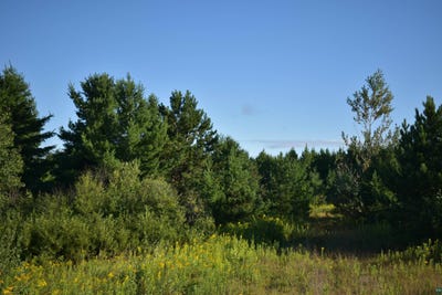 /international/us/30210-wannebo-rd-washburn-wi-110101984324/