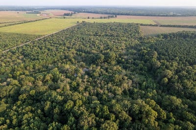 /international/us/little-river-35-40-acres-ogden-ar-110103065523/