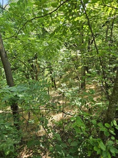 /international/us/3-acres-mossy-creek-rd-mount-solon-va-110092681782/