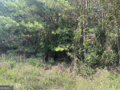 /international/us/0-saggus-crawfordville-ga-110101454202/?lang=zh-tw