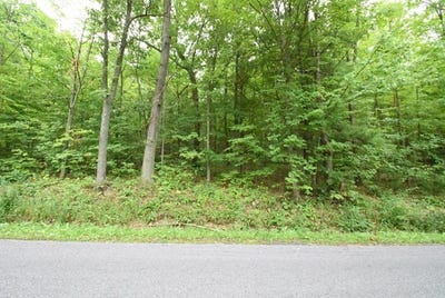 /international/us/lot-14-hibbard-road-big-flats-ny-110097601161/