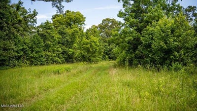 /international/us/300-w-mount-pleasant-road-zachary-la-110103776124/