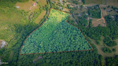 /international/us/burkey-road-lot-1-greeneville-tn-110108281598/