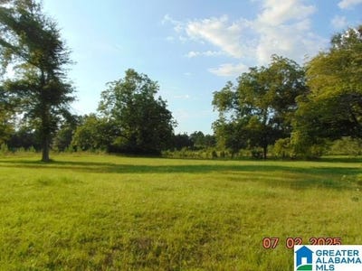 /international/us/martin-street-thorsby-al-110100692565/?lang=zh-cn