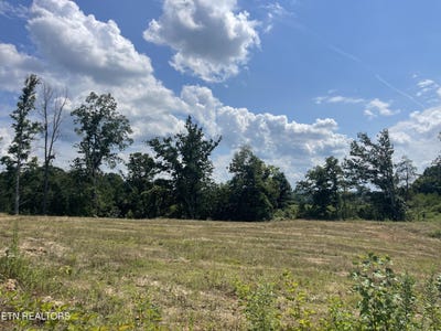 /international/us/lot-22-laura-boling-loop-rd-strawberry-plains-tn-110101341538/?lang=zh-cn