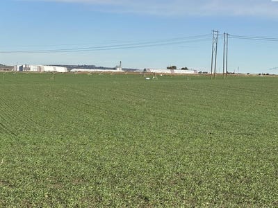 /international/us/nka-vineyard-drive-parcel-c-pasco-wa-110103170218/