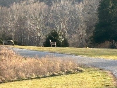 /international/us/lot-15-megans-way-burkesville-ky-110106251750/