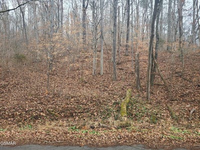 /international/us/tbd-keystown-road-luttrell-tn-110098517337/