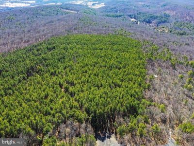 /international/us/lot66-67-baker-mountain-drive-wardensville-wv-110098050774/?lang=zh-tw