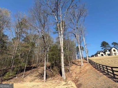 /international/us/jack-pittman-road-dacula-ga-110109153203/
