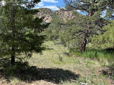 /international/us/1455-durfee-circle-westcliffe-co-110100928046/