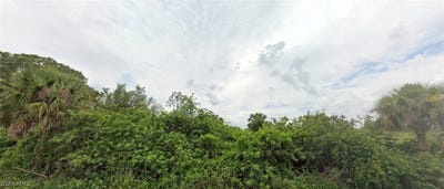 /international/us/1230-amherst-street-e-lehigh-acres-fl-110100987317/?lang=es