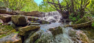 /international/us/ellison-ridge-road-jumping-branch-wv-110101466725/?lang=en