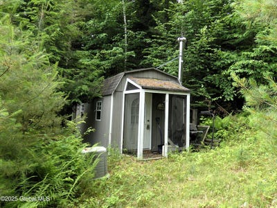 /international/us/1157-county-route-29-minerva-ny-110100519413/