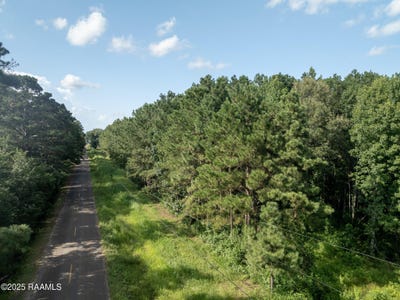 /international/us/jolene-road-basile-la-110100582676/