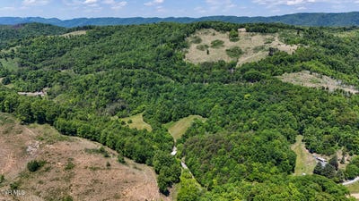 /international/us/3885-hickory-hill-road-blackwater-va-110109696929/