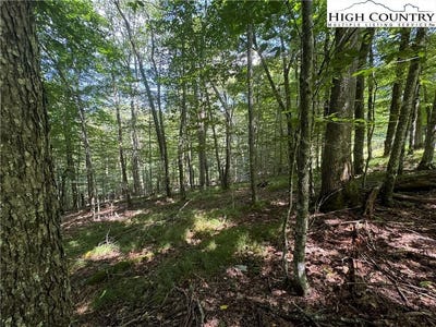 /international/us/217-sawmill-branch-road-beech-mountain-nc-110098249827/