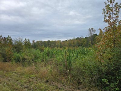 /international/us/e-highway-378-mccormick-sc-110103597165/
