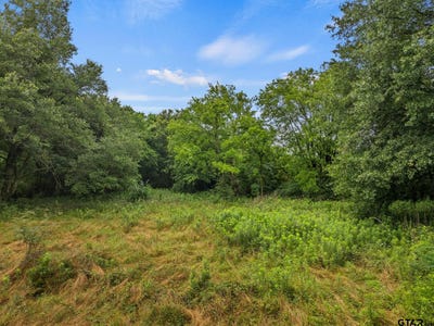 /international/us/436-grady-street-mt-vernon-tx-110099792327/