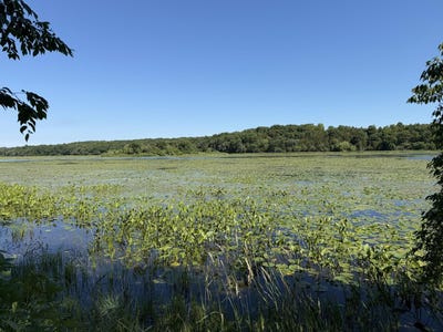 /international/us/w-lakeshore-drive-lot-47-50-elkhorn-wi-110108979200/