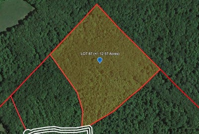 /international/us/290-eagle-s-nest-ridge-bragg-wv-110102321672/