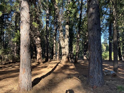 /international/us/alward-way-shingletown-ca-110094547088/?lang=zh-tw