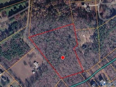 /international/us/turtle-drive-gloucester-va-110107963382/