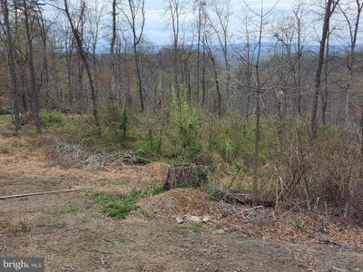 /international/us/0-potato-hill-hedgesville-wv-110098514017/?lang=zh-tw