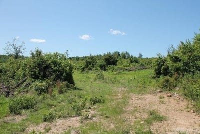 /international/us/39250-9260-hwy-27-tilly-ar-110092530010/