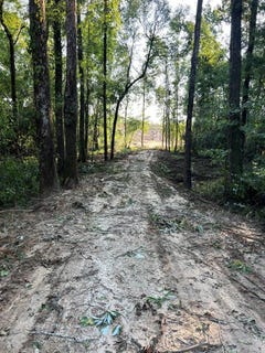 /international/us/parcel-5-county-road-2213-goshen-al-110110244334/