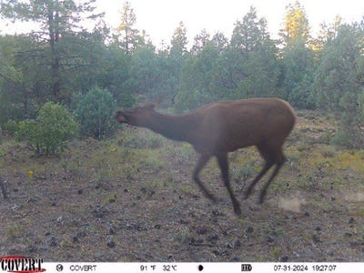 /international/us/tierra-bonita-s-d-tierra-amarilla-nm-110091715669/?lang=zh-tw