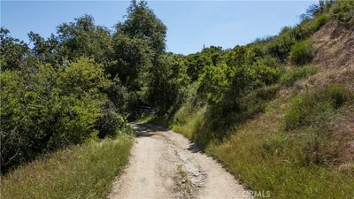 /international/us/0-danielle-lane-trabuco-canyon-ca-110105041250/