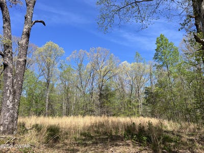 /international/us/942-excalibur-trail-lot-101-cedar-grove-tn-110107256497/