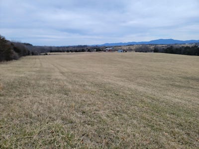 /international/us/dam-town-rd-fort-defiance-va-110101618160/