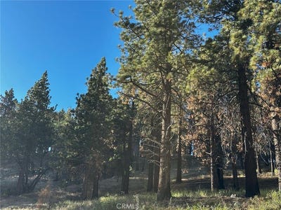 /international/us/1-crest-forest-drive-cedarpines-park-ca-110101031398/?lang=zh-tw