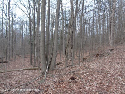 /international/us/carl-sunset-lane-spring-brook-twp-pa-110098760813/