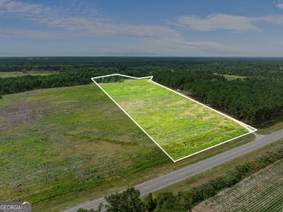/international/us/19-13-acres-highway-301-statesboro-ga-110101426967/?lang=zh-tw