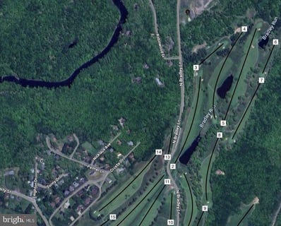 /international/us/oakland-sang-run-road-oakland-md-110098140358/?lang=zh-tw