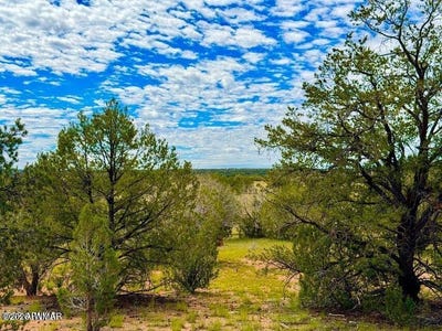 /international/us/dusty-rose-ranch-rd-c-12-acre-seligman-az-110120424431/