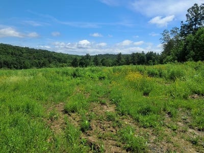 /international/us/1567-hollow-road-monkton-vt-110105273283/