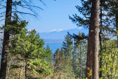 /international/us/7860-us-hwy-93-s-lakeside-mt-110107807173/